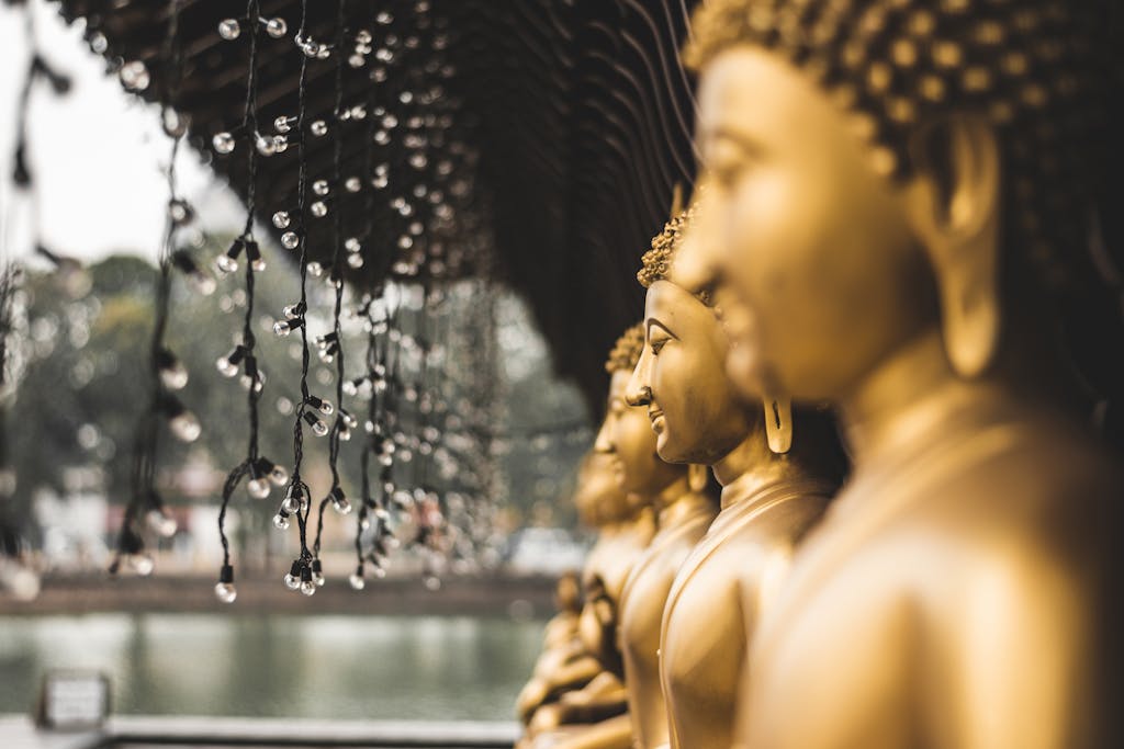 A row of golden Buddha statues adorned with elegant string lights in Colombo, Sri Lanka.