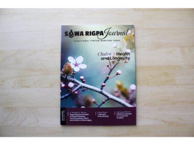 Chulen health and longevity