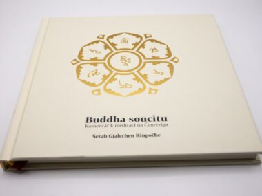 Buddha soucitu - Komentář k meditaci na Čenreziga